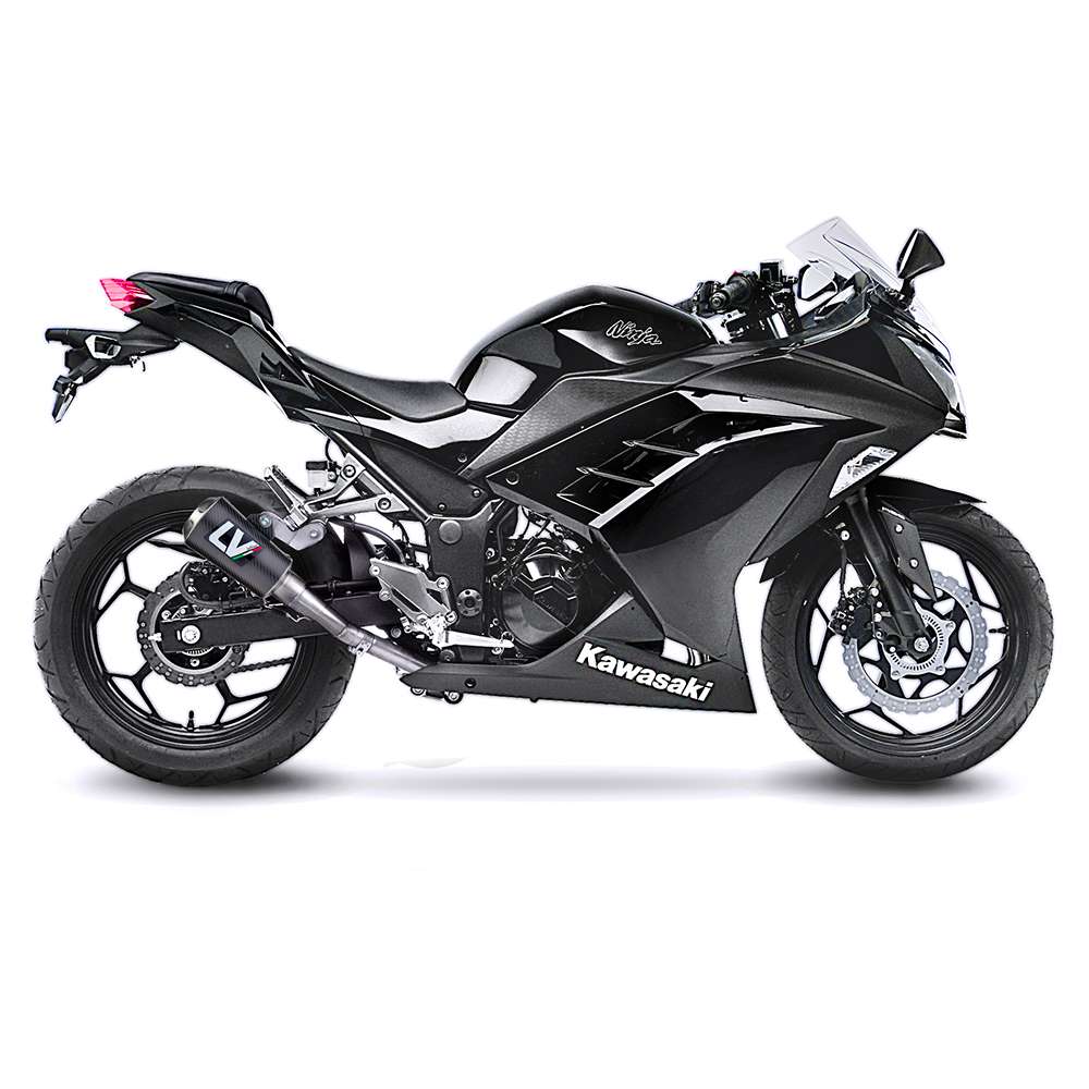 Leovince Carbon Fiber LV-10 Slip On Muffler - 15250C Motorcycle - Dennis  Kirk