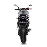 CAT ELIMINATOR (LINK PIPE)